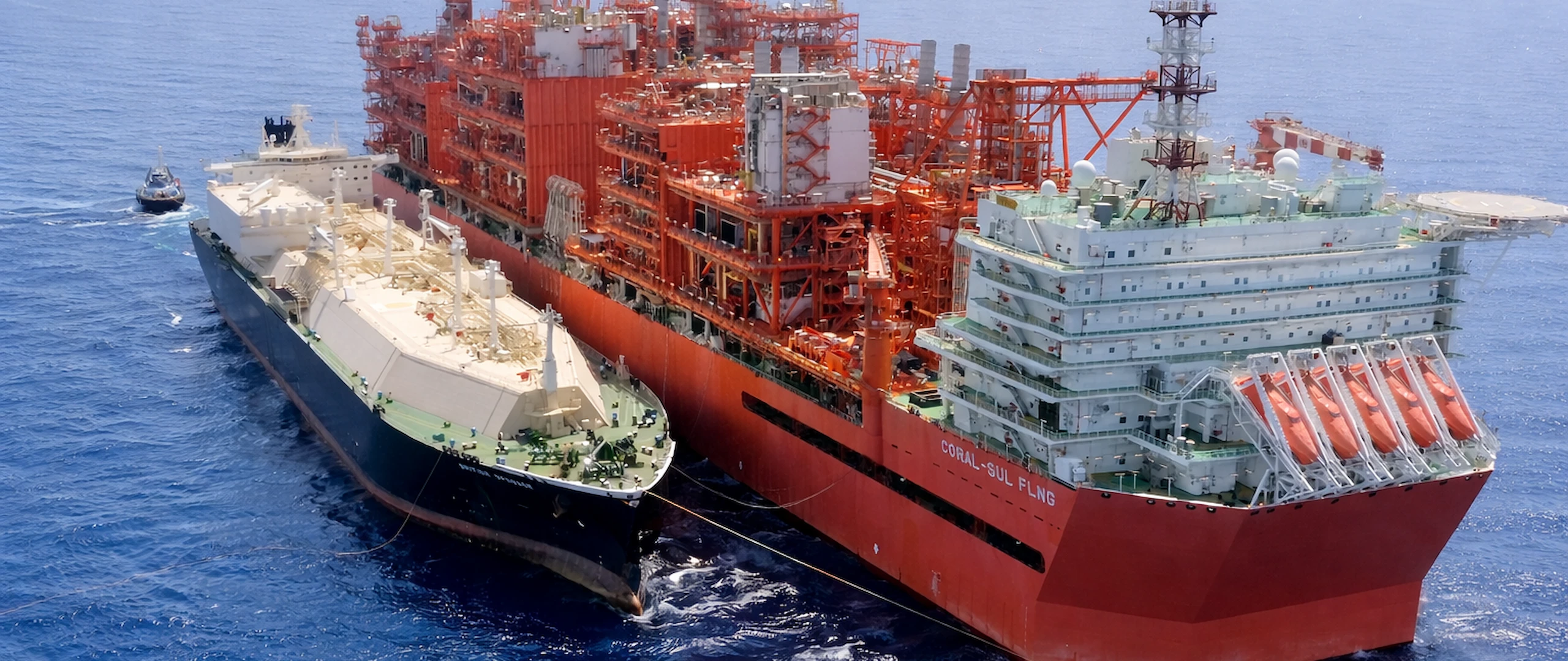 WEbP full width picture of Coral South AI reproduction